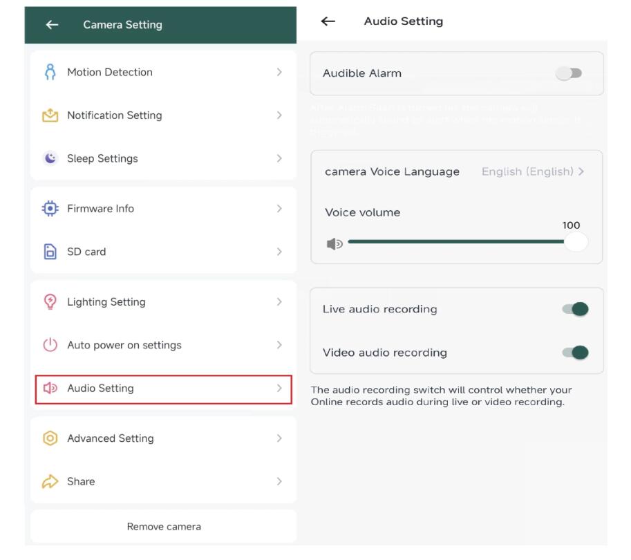 audio setting.jpg