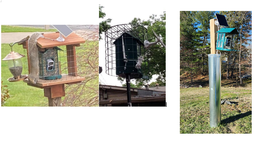 BF08 keep off squirrels a.png