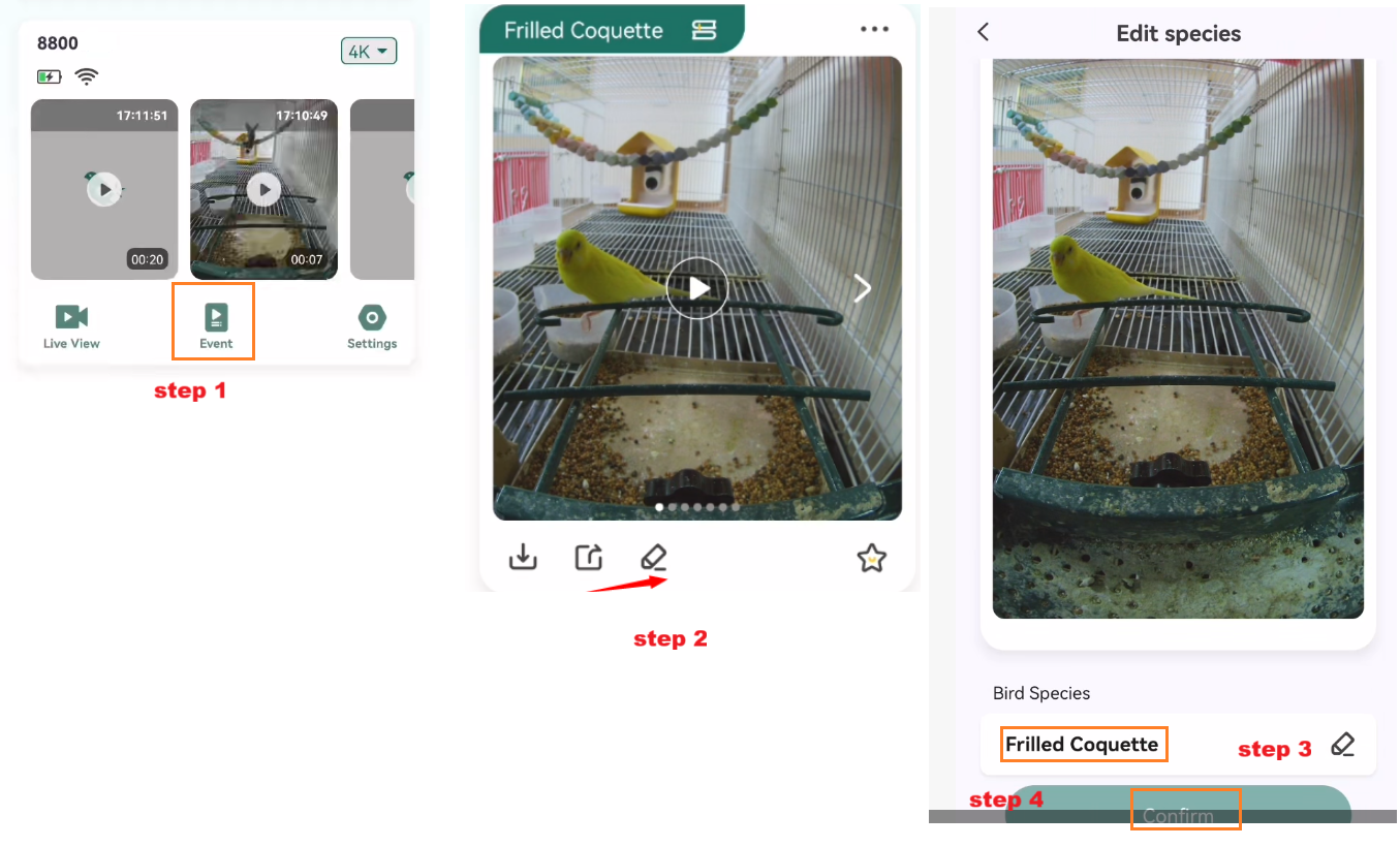 edit bird's name.png